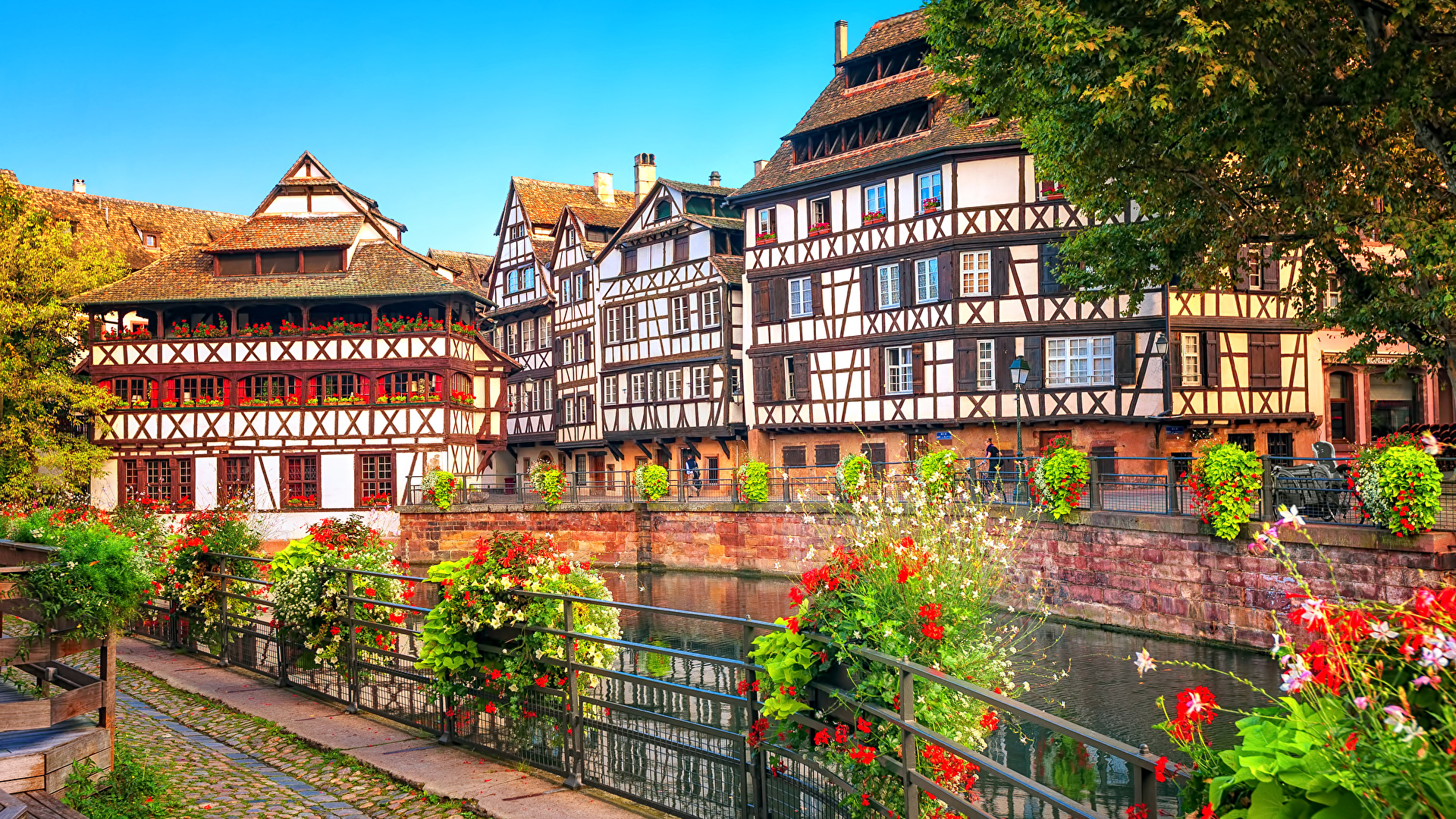 France_Strasbourg_Houses_Rivers_Fence_Shrubs_529565_1920x1080